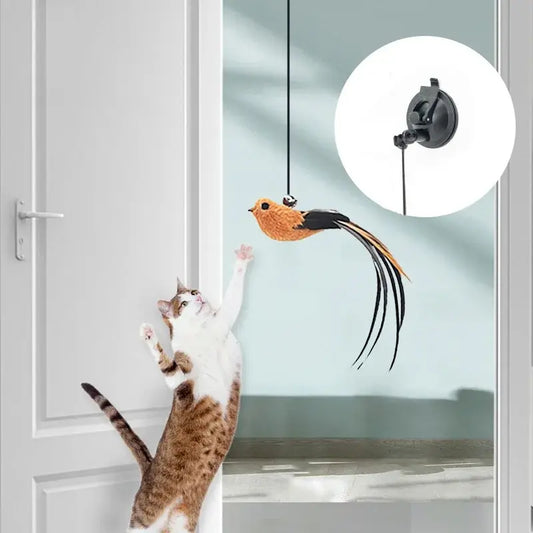 Jouets oiseaux pour chats