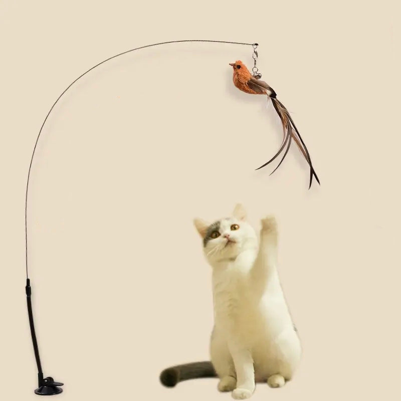 Jouets oiseaux pour chats